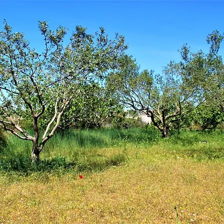 Karla's Hébergement de vacances Debeljak