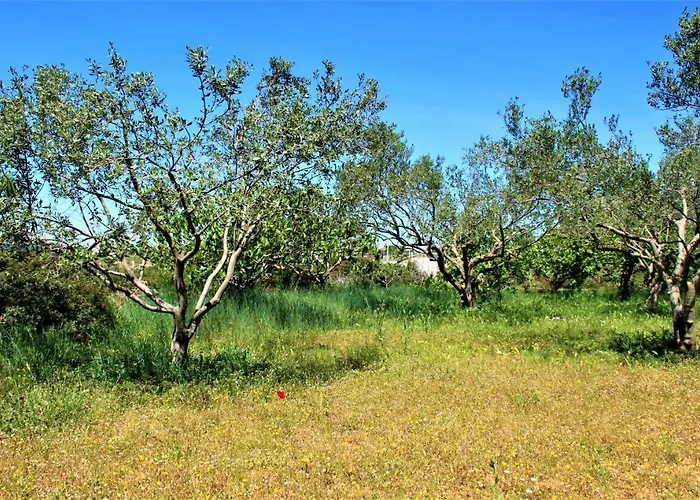 Karla's Дом отдыха Debeljak